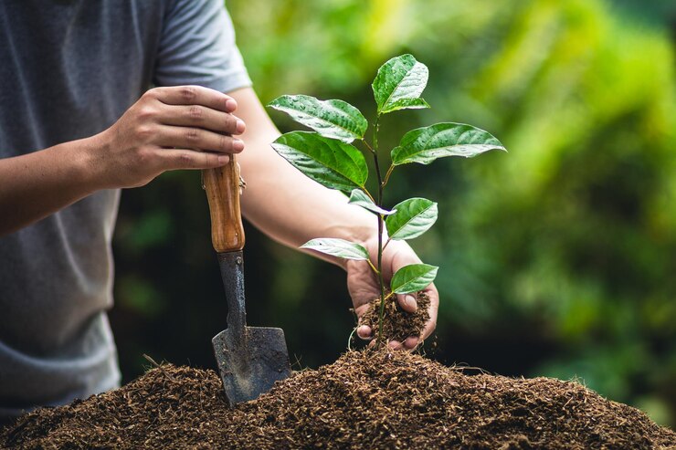 midsection-man-planting-sapling-farm_1048944-17698694 midsection-man-planting-sapling-farm_1048944-17698694